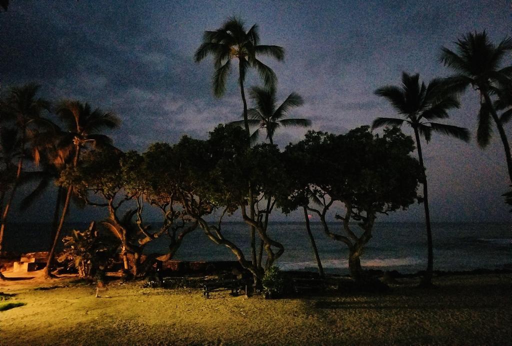 Kona Magic Honu Room Kailua-Kona Dış mekan fotoğraf