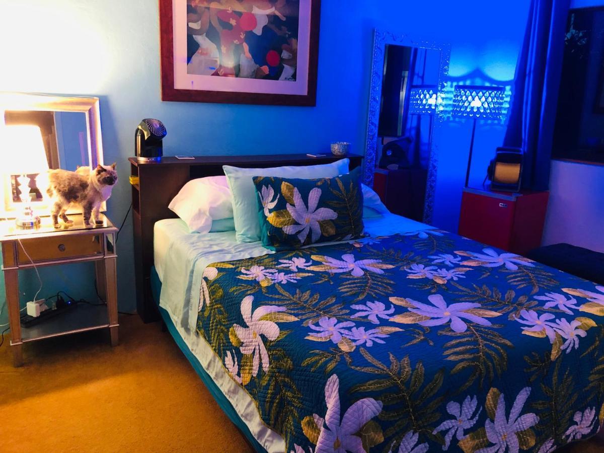 Kona Magic Honu Room Kailua-Kona Dış mekan fotoğraf